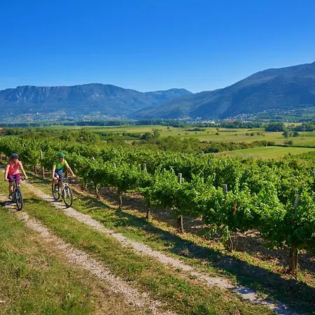 Apartment Friends House Vitovlje