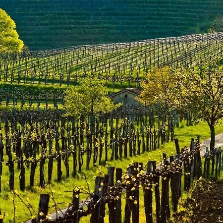 Apartment Friends House